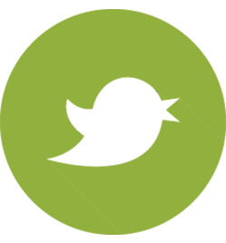 Unconventional Media Twitter